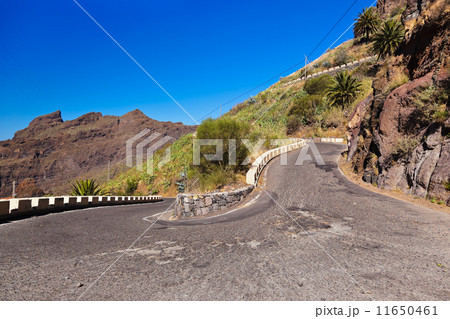 Famous canyon Masca at Tenerife - Canary 11650461