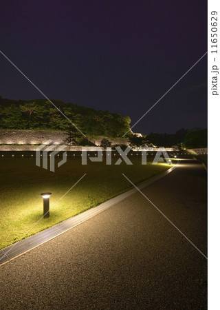 金沢城・石垣ライトアップ 11650629