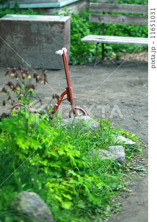 Kick board-キックボード IMG_3434 Kick board-キックボード IMG_3434 11651031