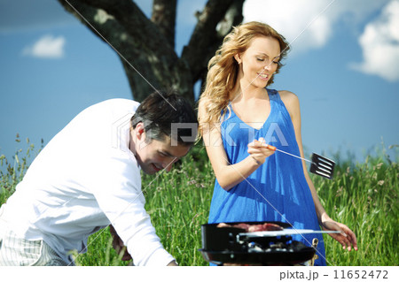 picnic 11652472