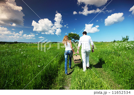 go on picnic 11652534