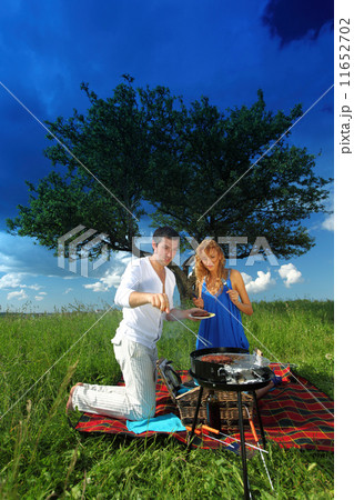 picnic picnic 11652702