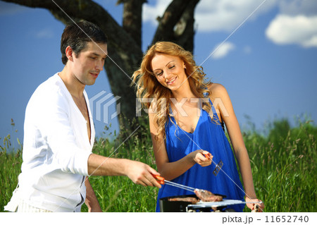 picnic 11652740