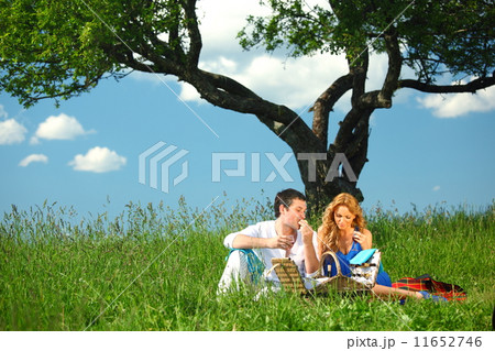 lovers on picnic 11652746