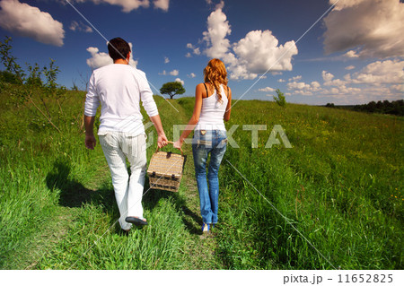 go on picnic 11652825