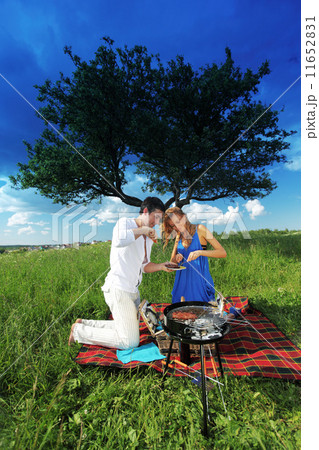 picnic 11652831