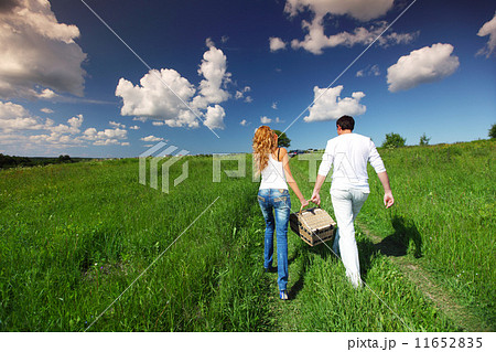 go on picnic 11652835