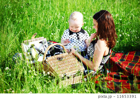 family picnic 11653391