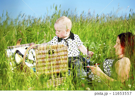 family picnic family picnic 11653557