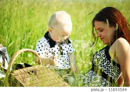 family picnic family picnic 11653584
