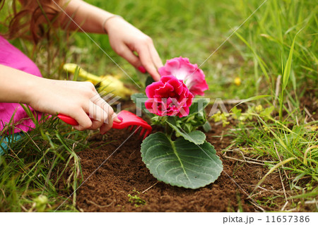 girl grow flower 11657386