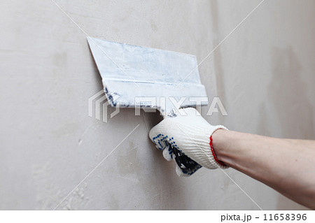 aligns wall 11658396