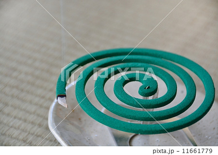 蚊取線香 11661779