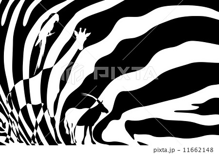 african wildlife background - zebra hide with antelope, giraffe and parrot silhouettes 11662148