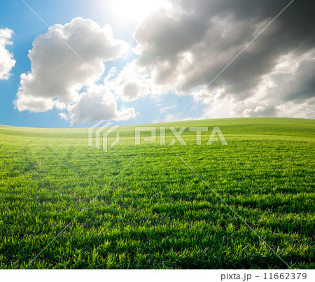 summer landscape 11662379
