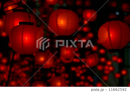 山口七夕ちょうちんまつり 山口七夕ちょうちんまつり 11662592