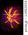 夜空を彩る花火 11662659
