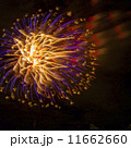 夜空を彩る花火 11662660