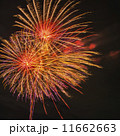 夜空を彩る花火 11662663