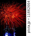 夜空を彩る花火 11662664