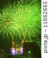 夜空を彩る花火 11662665
