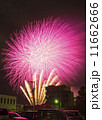 夜空を彩る花火 11662666