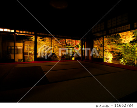 南禅寺 - 紅葉ライトアップ 11662734