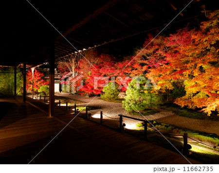南禅寺 - 紅葉ライトアップ 11662735
