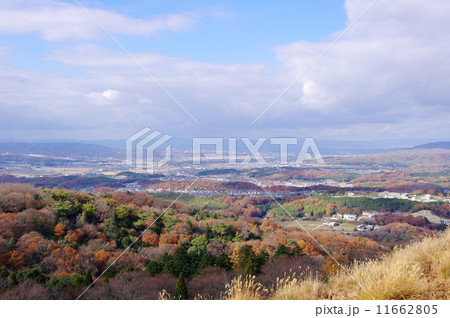 奈良盆地 奈良盆地 11662805
