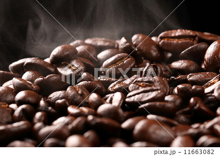 コーヒー豆 11663082