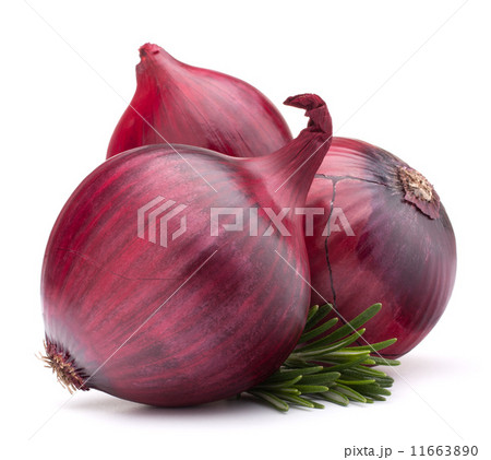 red onion and rosemary leaves red onion and rosemary leaves 11663890