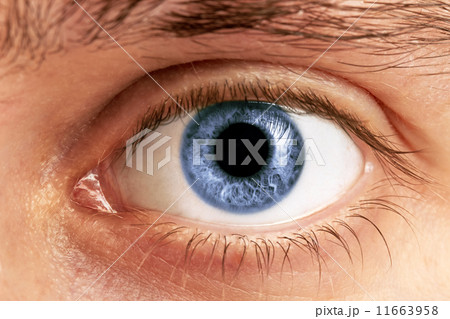 Man Eyes Man Eyes 11663958