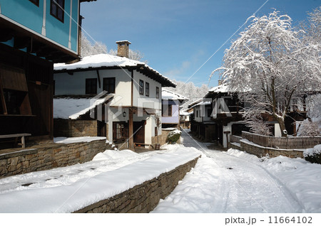 Winter Landscape 11664102
