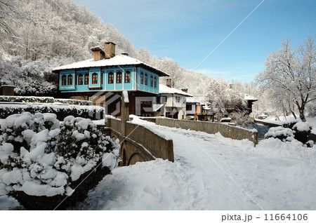 Winter Landscape Winter Landscape 11664106