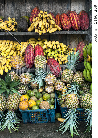 Latin America Fruit street market, Ecuador 11664269