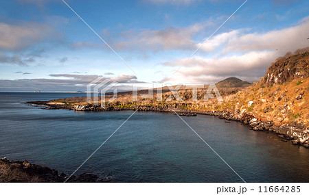San Cristobal Island and Kicker Rock/Leon Dormido, Galapagos 11664285