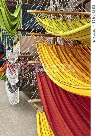 Hammocks, market place in Ecuador 11664288