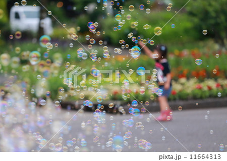 シャボン玉と女の子 11664313