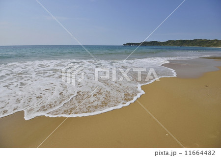 琴ヶ浜 11664482