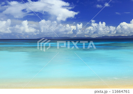 ニシハマビーチ ニシハマビーチ 11664761
