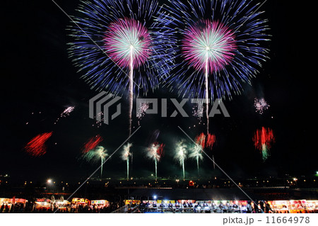大曲の花火 11664978