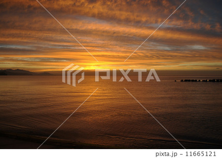 塩谷海岸夕景 11665121
