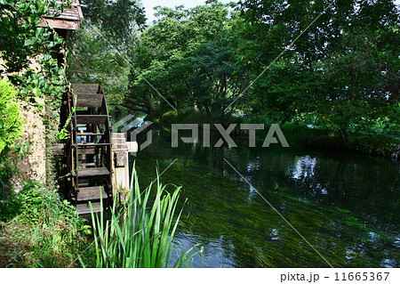 大王わさび農園 11665367