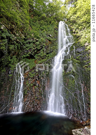 幕滝 11665428