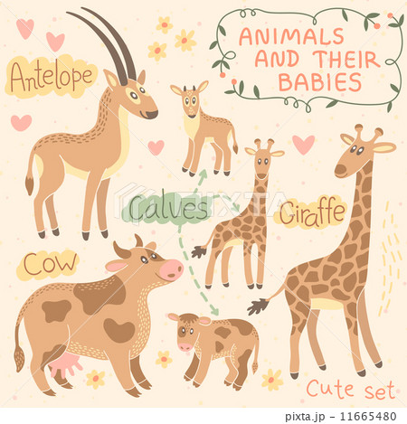 Baby and Mommy Animal Set 11665480