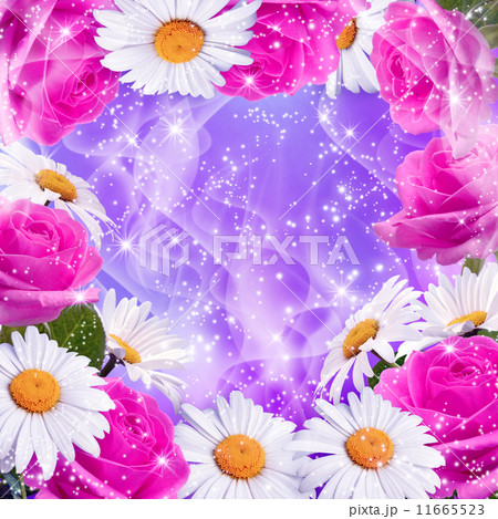 Roses and daisy Roses and daisy 11665523