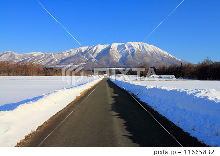 冬の岩手山と一本道 冬の岩手山と一本道 11665832