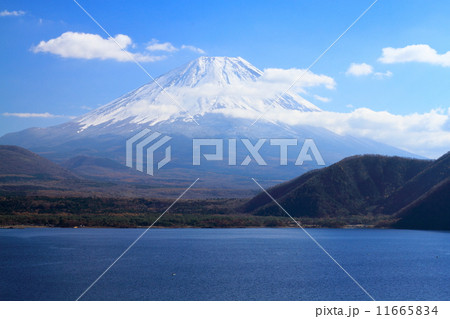 秋の富士山と本栖湖 秋の富士山と本栖湖 11665834