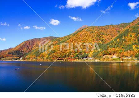 西湖の紅葉 11665835