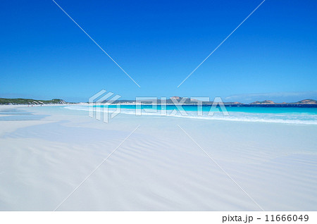 ラッキーベイ ラッキーベイ 11666049